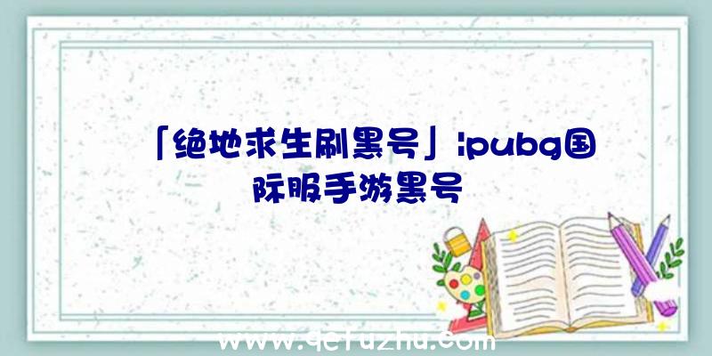 「绝地求生刷黑号」|pubg国际服手游黑号